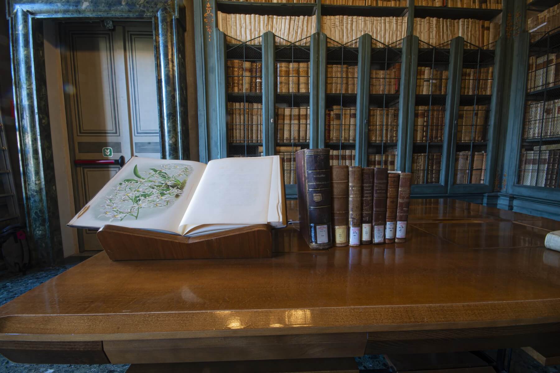 museo delle scienze brescia