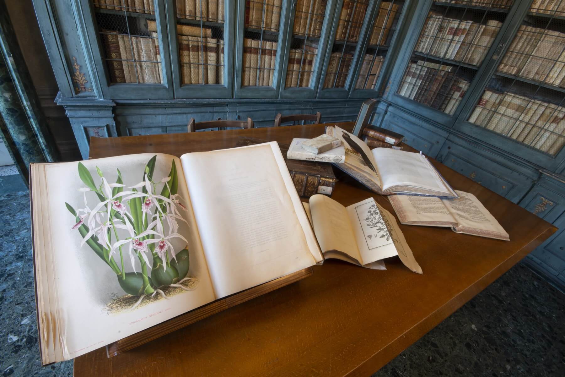 museo delle scienze brescia