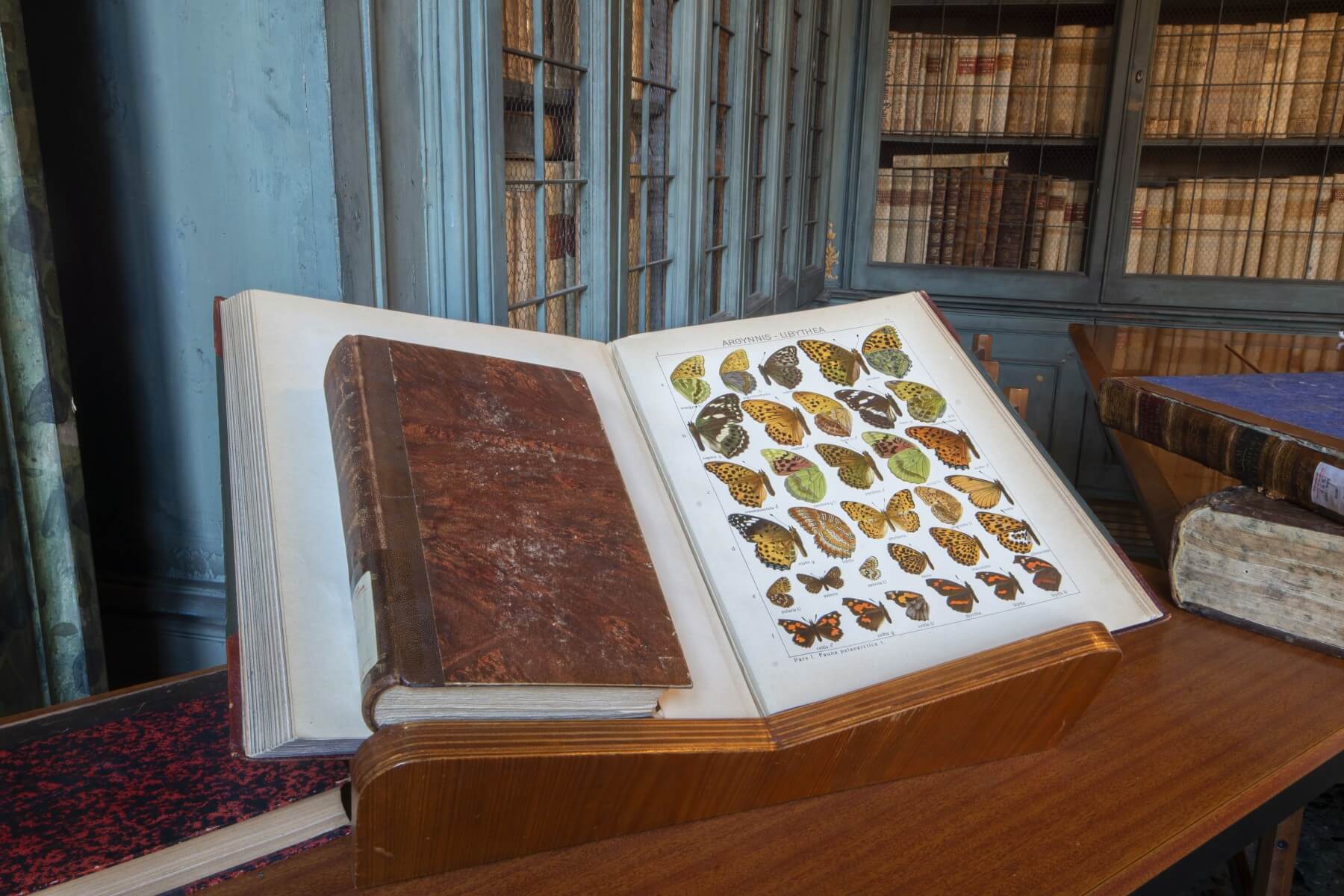 museo delle scienze brescia