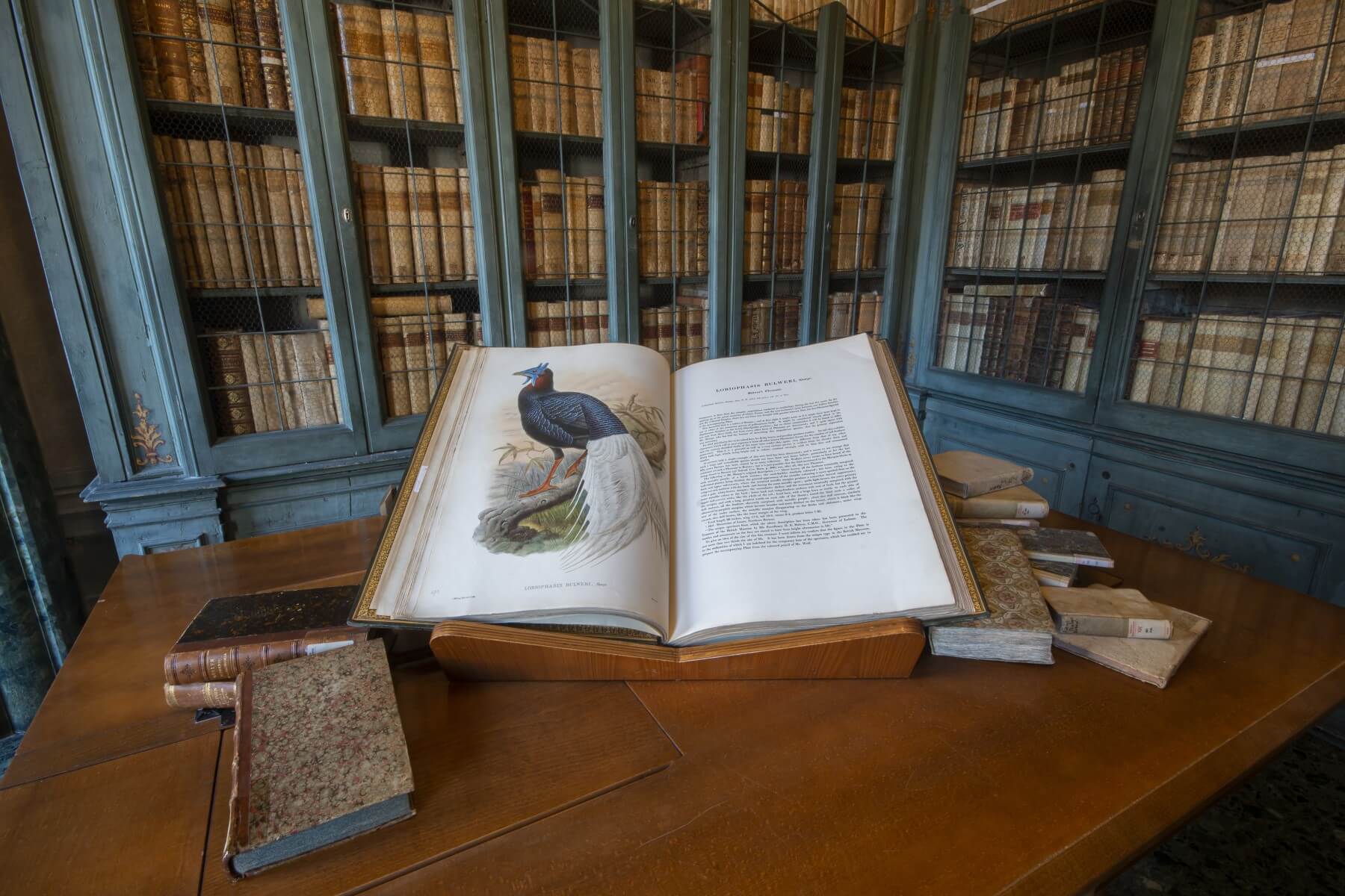 museo delle scienze brescia