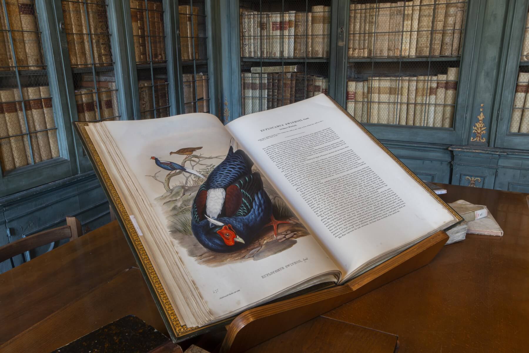 museo delle scienze brescia