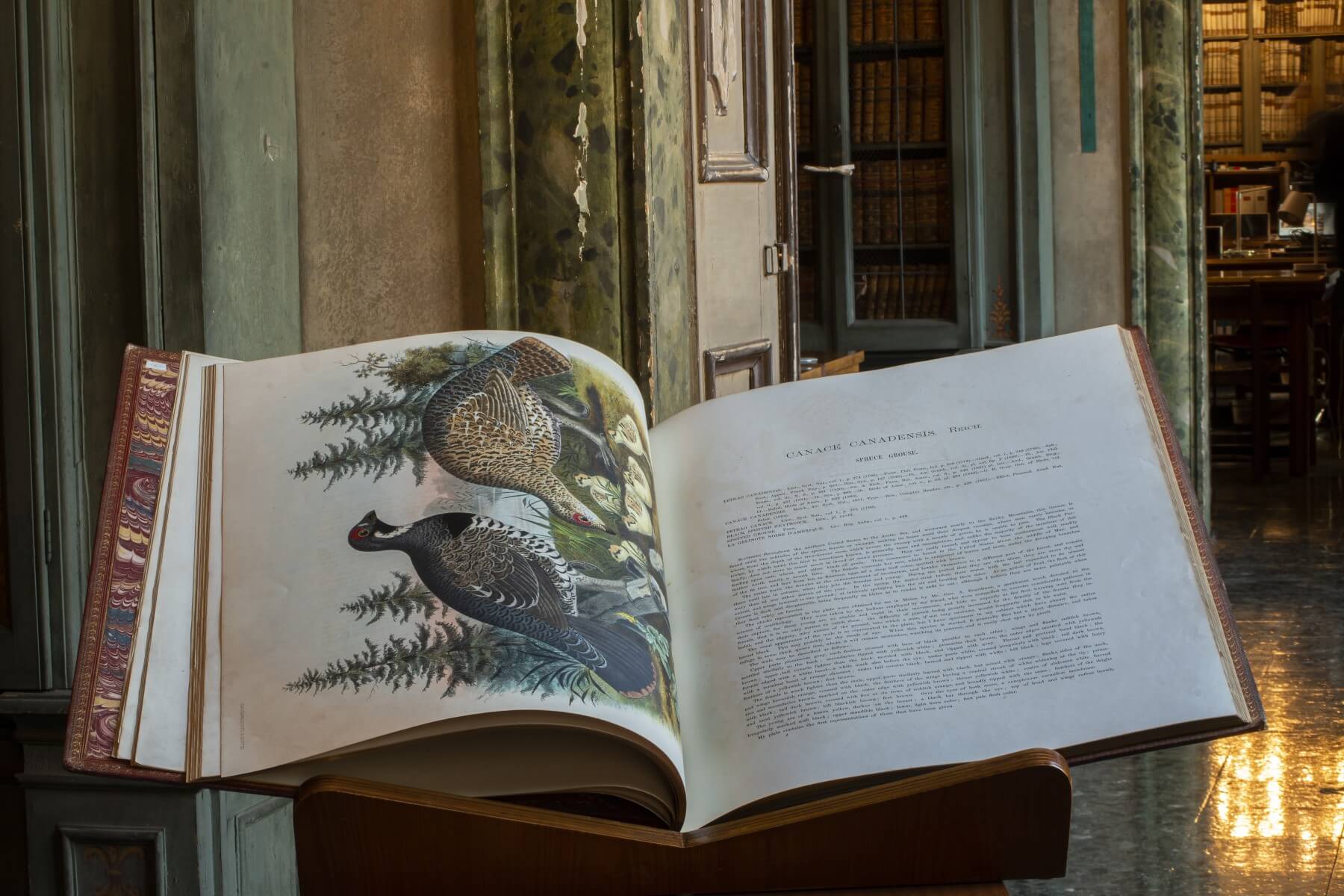 museo delle scienze brescia