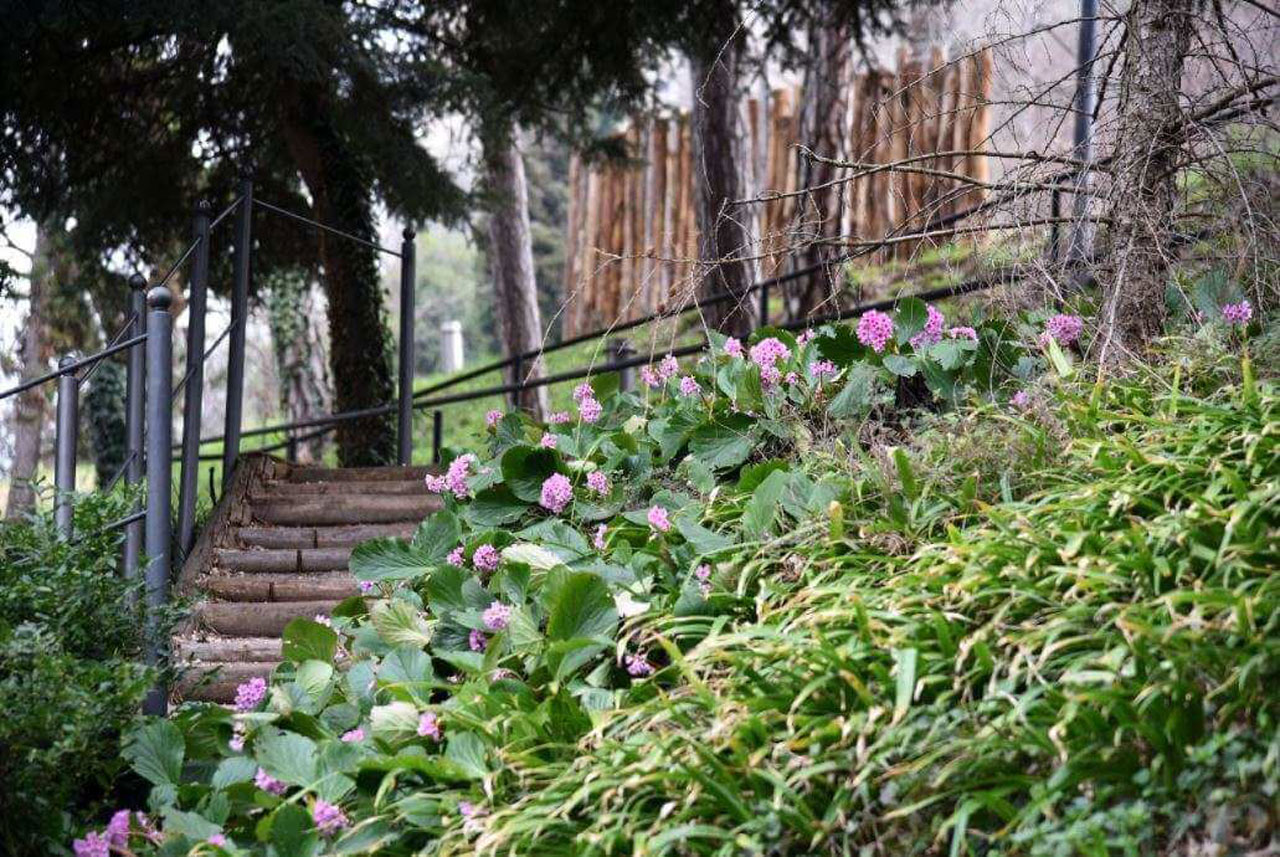 montagnola-parco-biodiversita