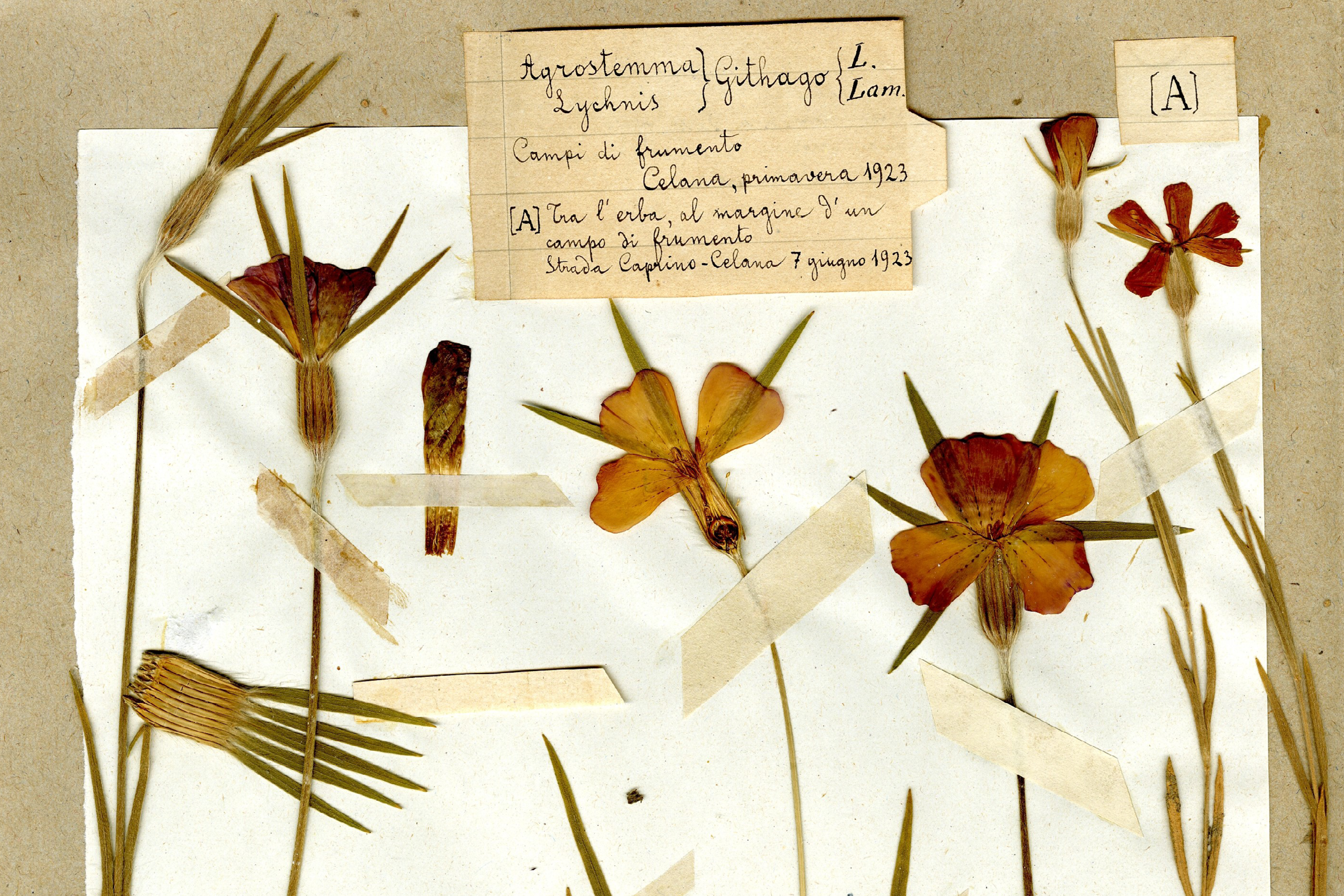 museo delle scienze brescia