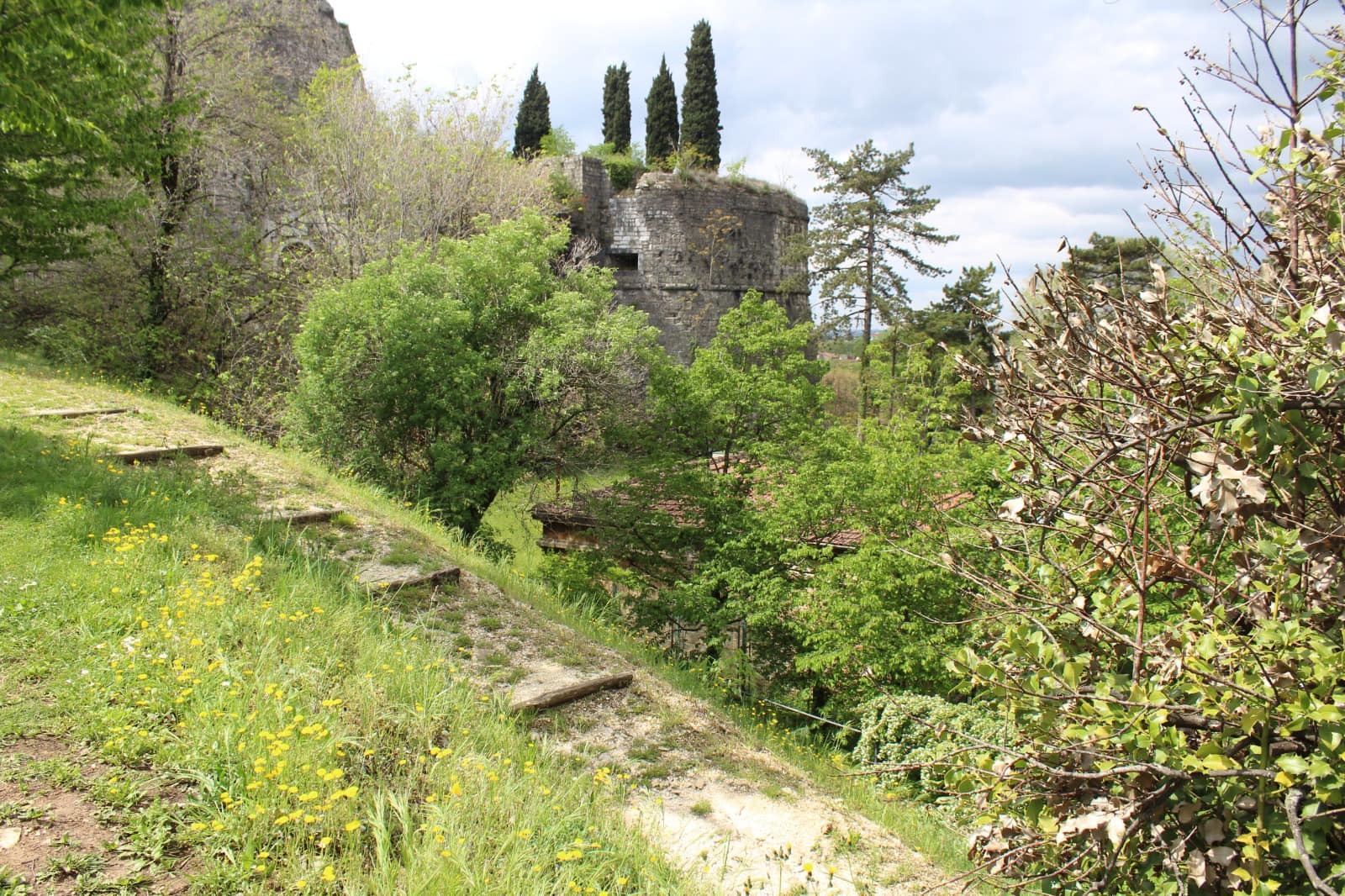 montagnola 2