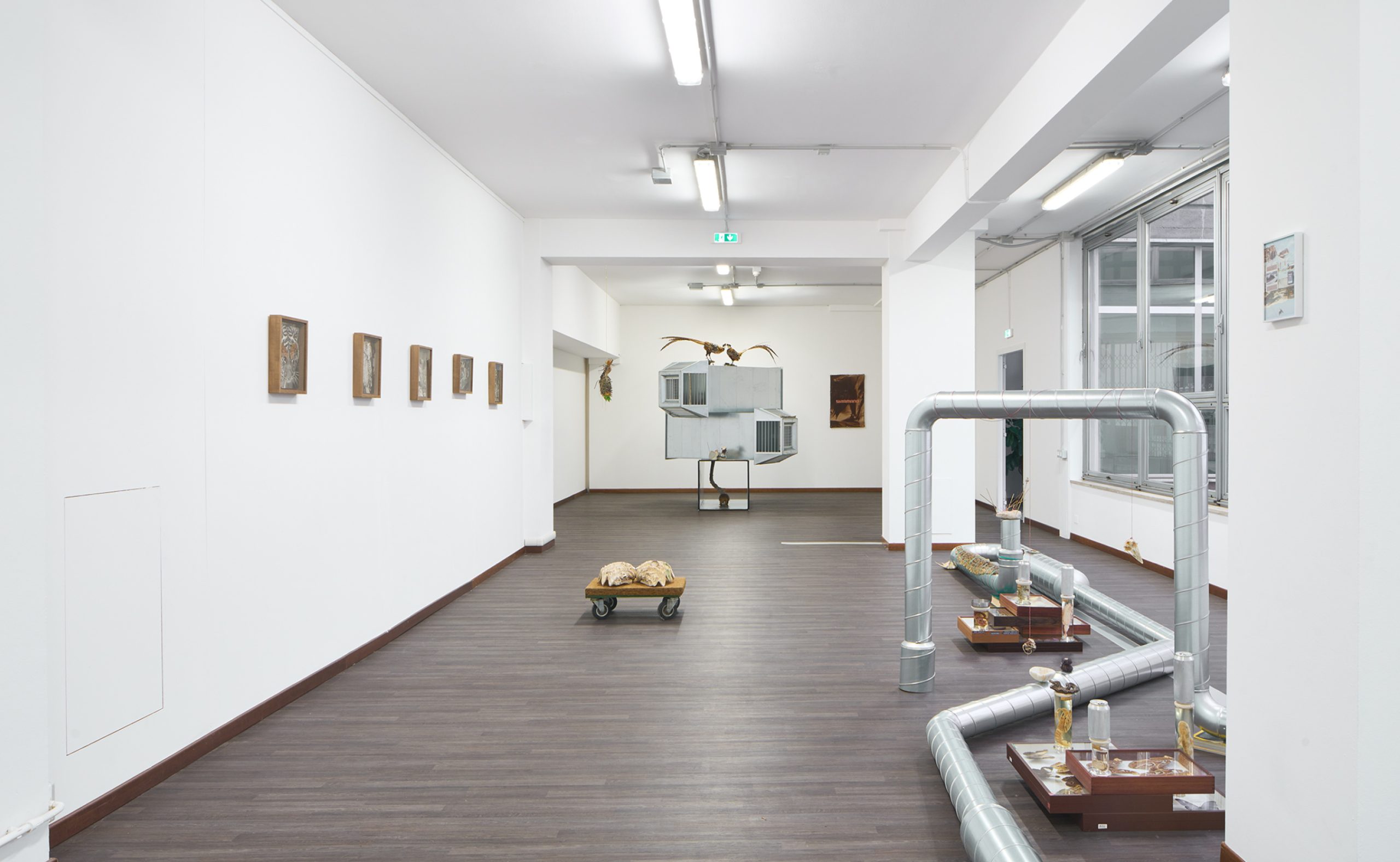 museo delle scienze brescia