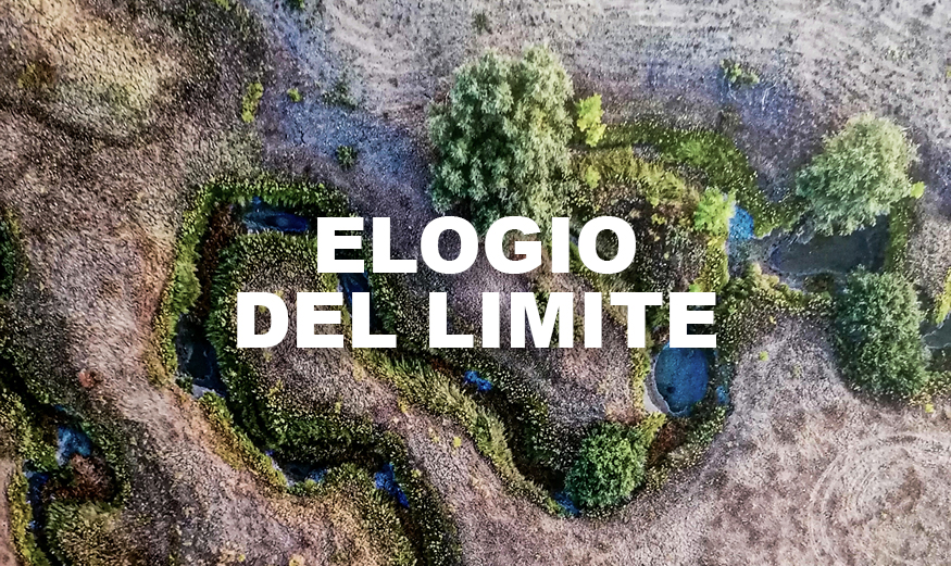 card - elogio del limite