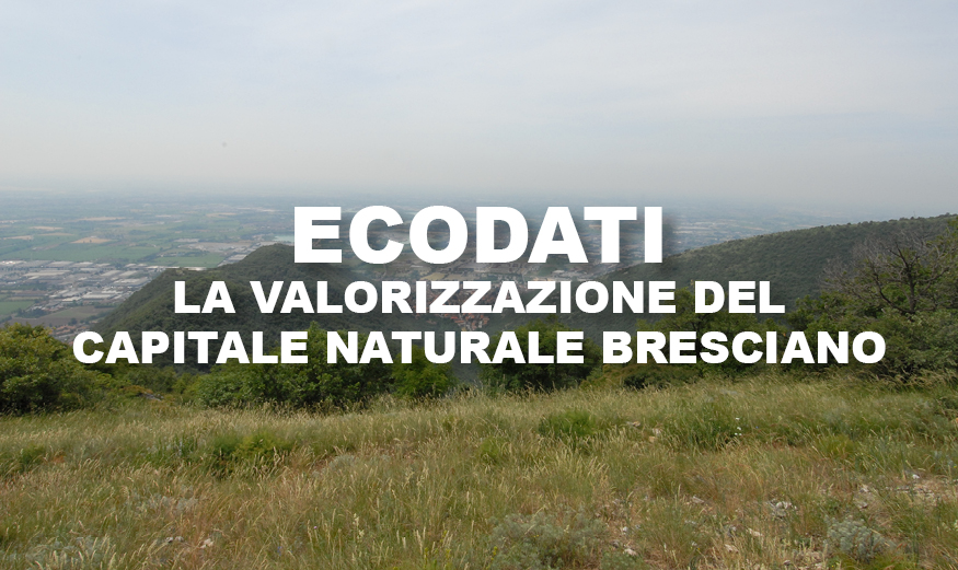 CARD ECODATI