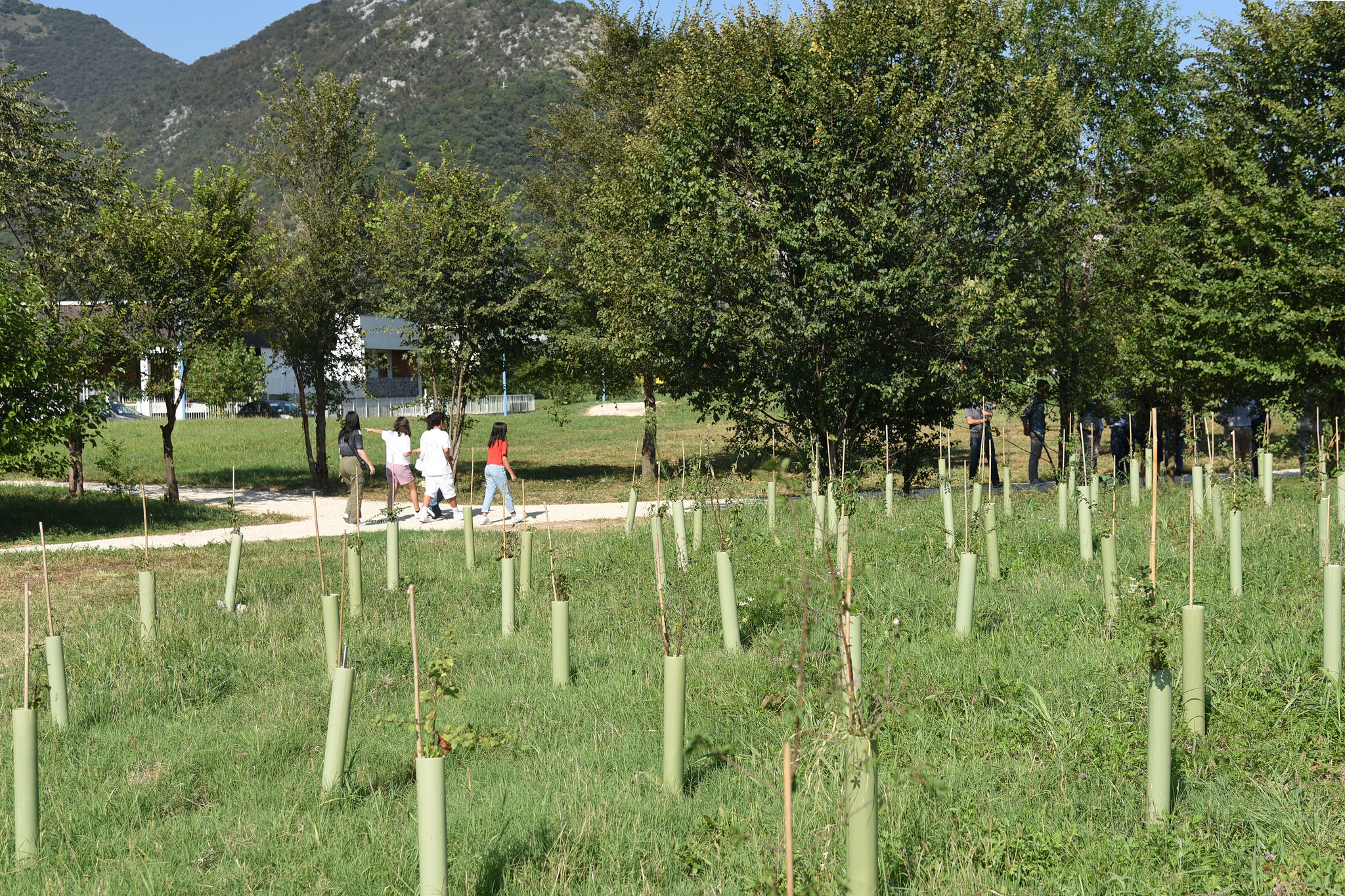riforestazione-nuovi-habitat
