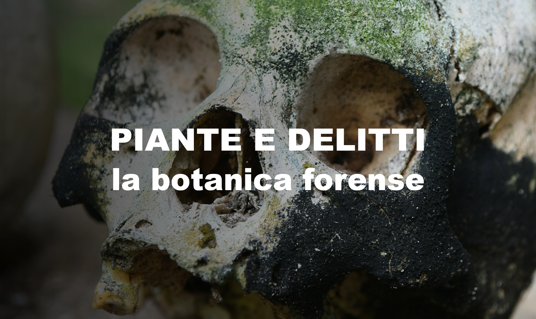 CARD_botanica forense_ABB