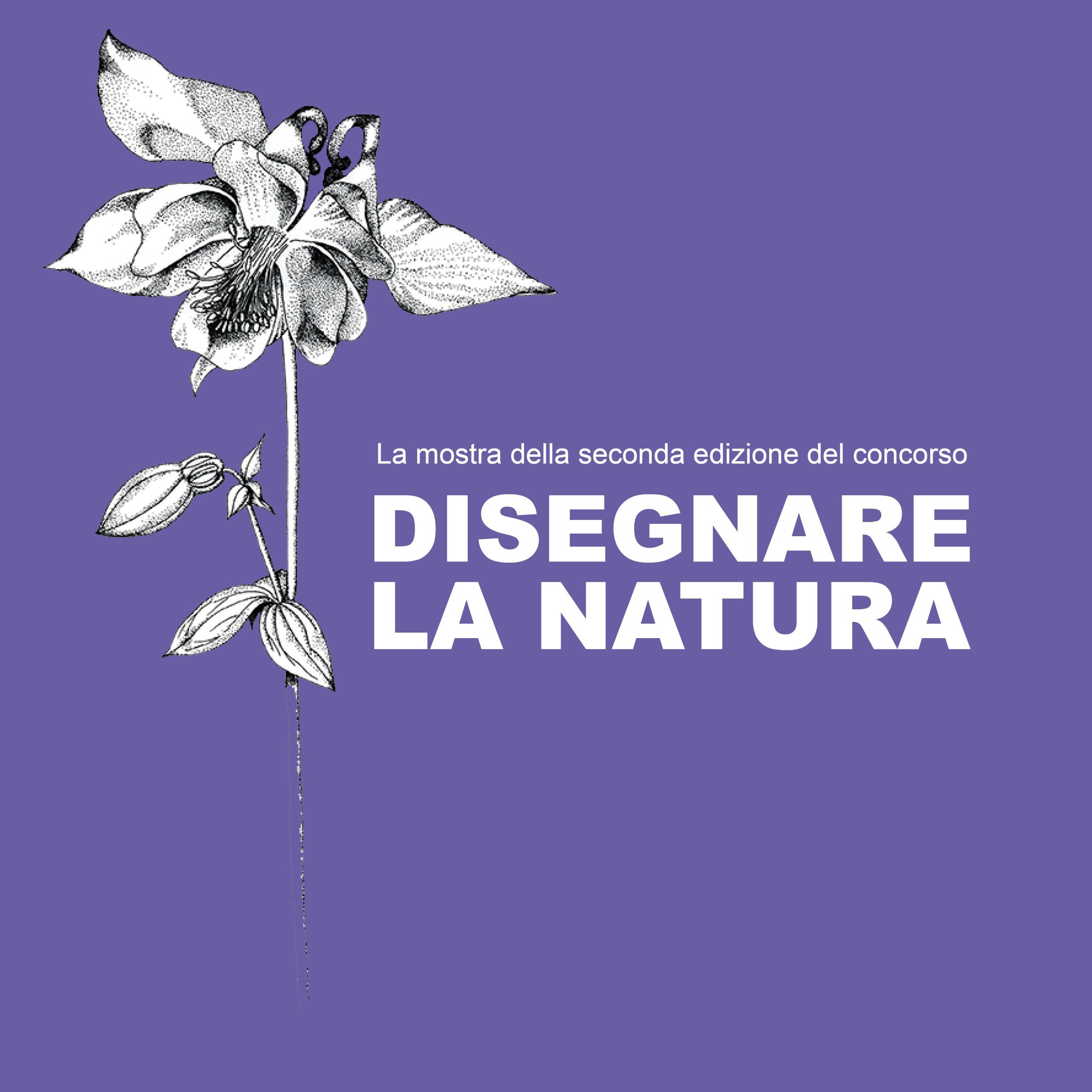 HERO_Disegnare la natura 2024