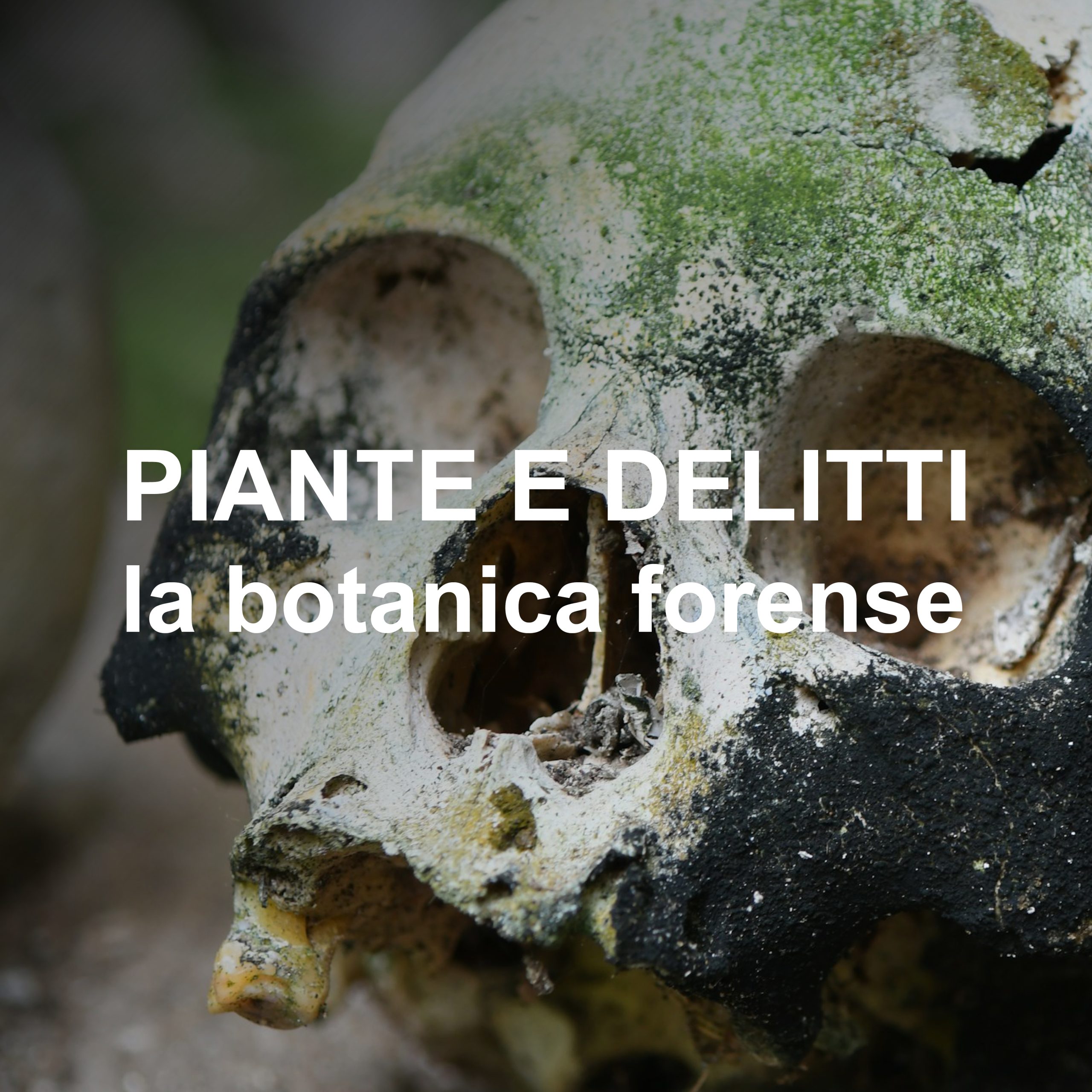 HERO_botanica forense_ABB
