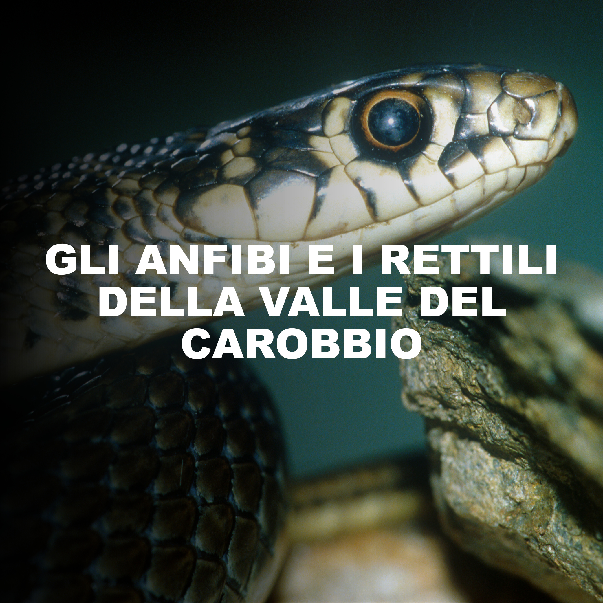 HERO CSNB - 8 aprile 2024