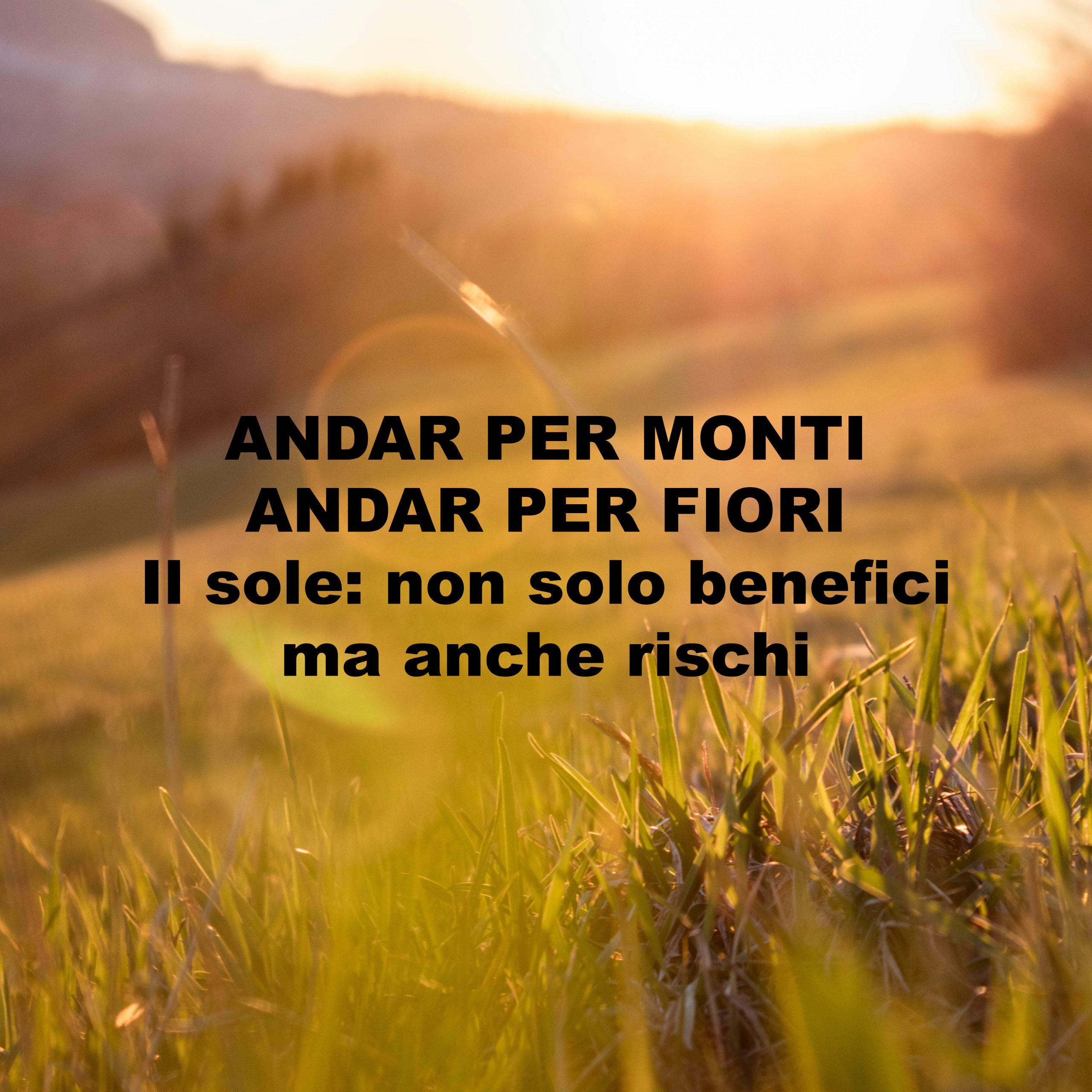 hero 9 aprile 2024
