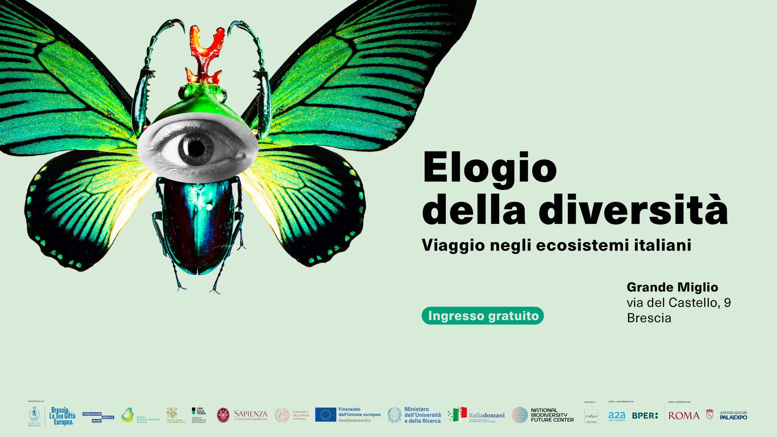 TAPPO_elogio-diversita-scaled-mod.png