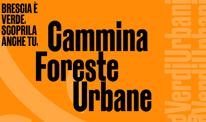 Card_CFU2025