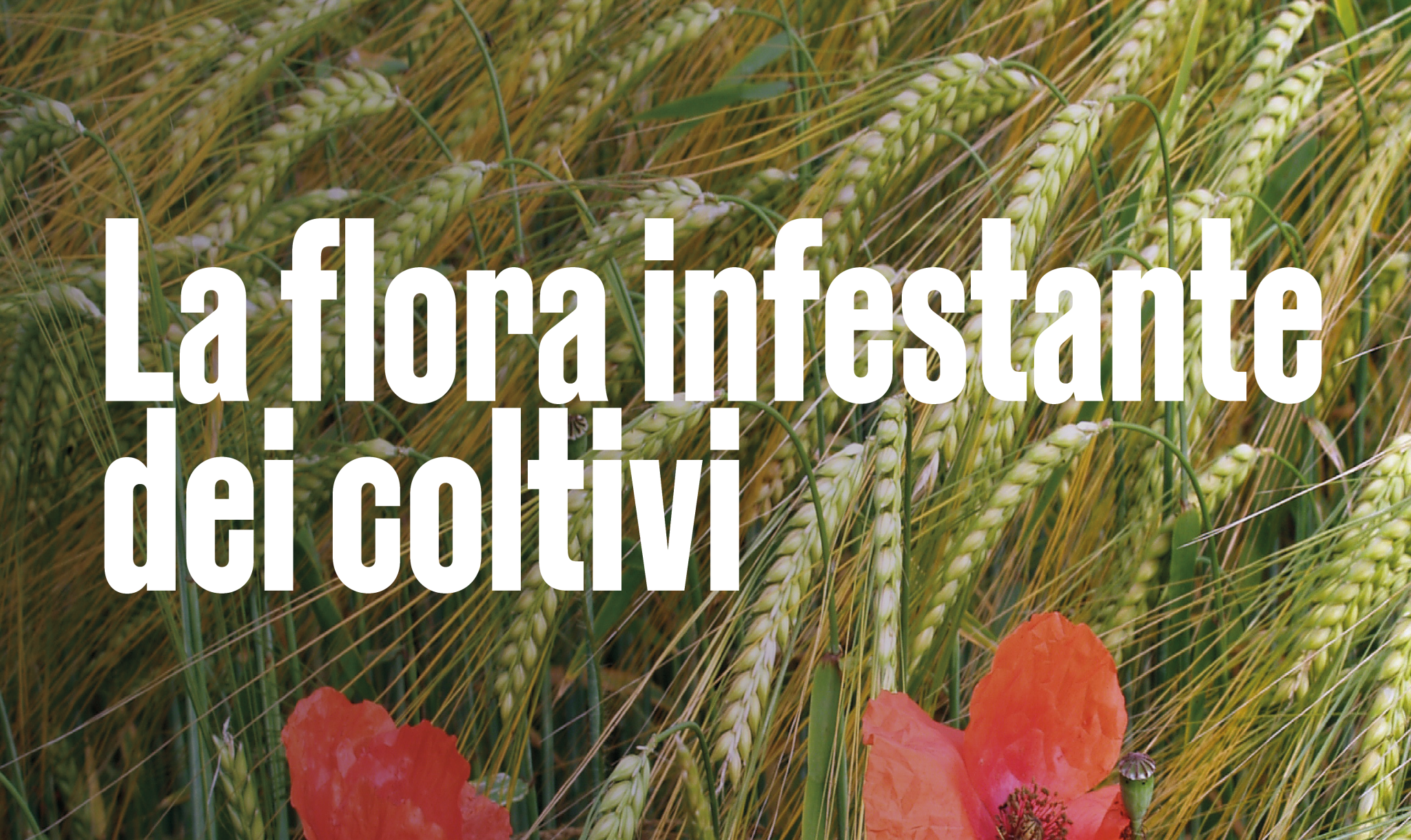 Locandina evento 19 - definitiva2