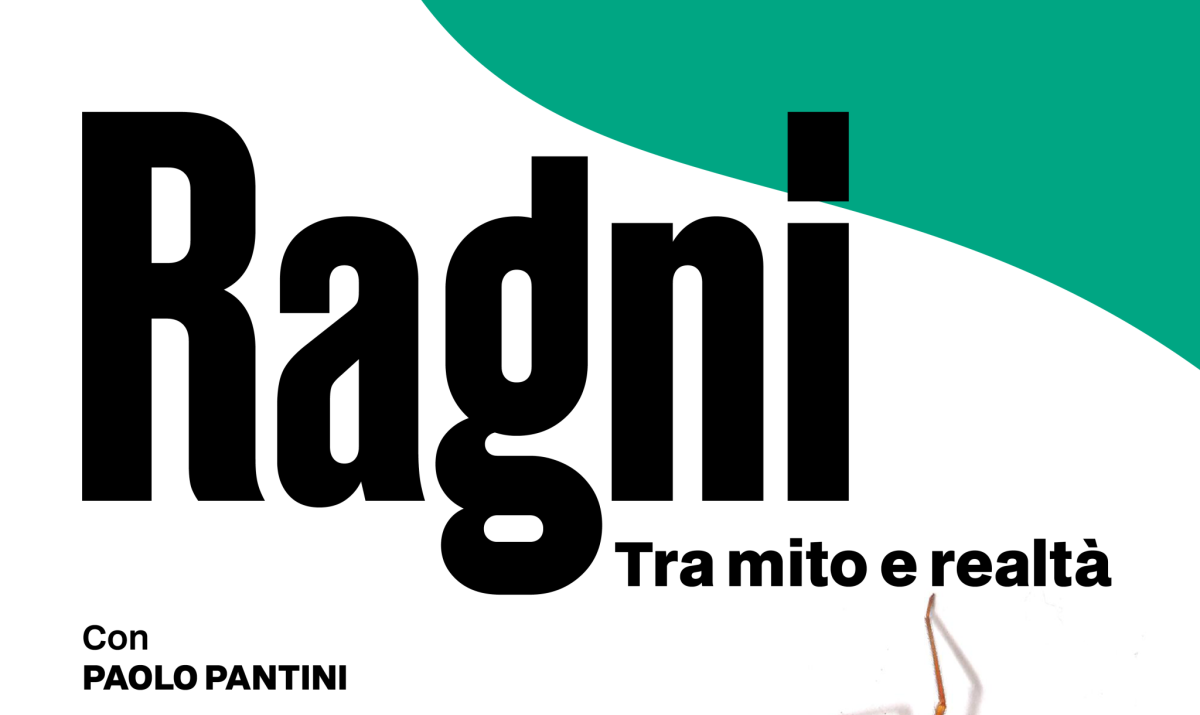 Paolo-Pantini_21maggio2026-scaled-1200x0